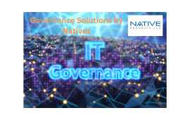 Tailored Governance Solutions by Natives, San Diego
