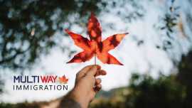 Benefits of the Rural Renewal Stream, Edmonton