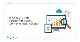 Professional SEO management services, Gurgaon