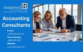 Professional Accounting and Consulting Services, San Diego