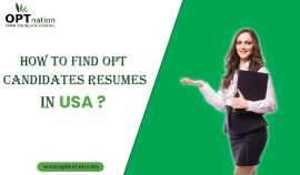 How To Find OPT Candidates Resumes In USA? , Los Angeles