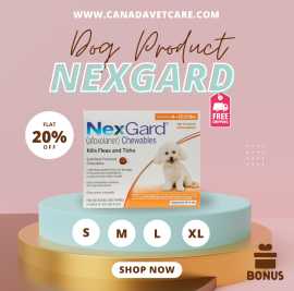 Canadavetcare Offer 20% off on Nexgard For Dogs | , New York