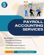 Simplify Payroll Management with Expert Help, Brisbane