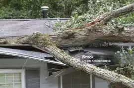 Storm Damage Restoration in Perth, Perth