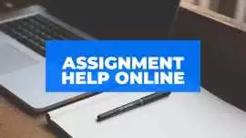 Get Expert Assignment Help in London, London
