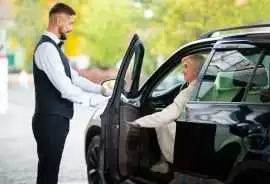 Prompt Sydney Cruise Ship Terminal Transfer, Lakemba