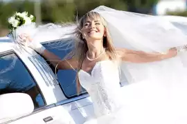 Luxury & Elegance with Wedding Limo Service Da, Dallas