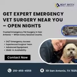 Get Expert Emergency Vet Surgery Near You – Open N, San Antonio