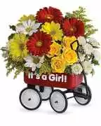 Trusted Flower Shop in Pittsburgh | Klein’s Flower, East Pittsburgh