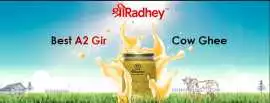 Buy Pure A2 Gir Cow Desi Ghee From Shree Radhey, California City