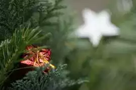  Looking for Perfect Housewarming Gifts Online Tha, Delhi