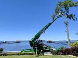Commercial Tree Services Jacksonville, Jacksonville