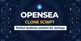  Best OpenSea Clone Script from Pixel Web Solution, Dubai