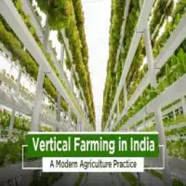 The Vertical Farming Method and Advantages in Indi, Noida