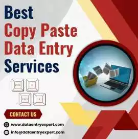 Best Copy Paste Data Entry Services at Affordable , Ahmedabad