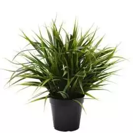 Brighten Up Your Space with Stunning Plant Walls, $ 0