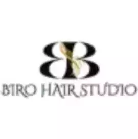 Biro Hair Studio North York Toronto, Toronto
