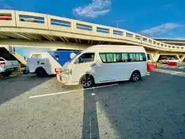 Transport from Punta Cana to Samana in Style, Alma