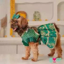Festive Dog Clothes to Make Rakhi Special for Your, New Delhi