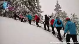 Best Customized Tour Packages Across India , Delhi