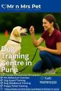 Dog Training Centre in , Pune