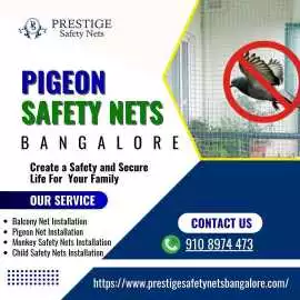 Effective Pigeon Safety Nets in Bangalore , Bengaluru