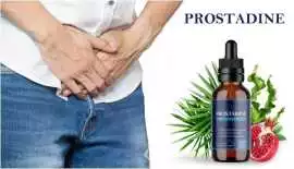 Prostadine (PROS OR CONS) — Really Work?, New York