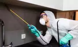 Commercial Pest Solutions for Saskatoon Businesses, Saskatoon