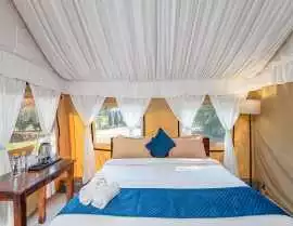 One-Day Farm Retreat Near Gurgaon with Activities, Haryana