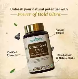 Unlock Natural Energy and Focus with Shilajit, Noida