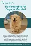 Day Boarding for Dogs in , Mumbai