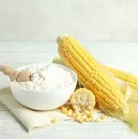 Premium Corn Starch Supplier in India, $ 0