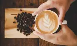 Where to Find Best Green Coffee Beans Wholesale?, Guangzhou