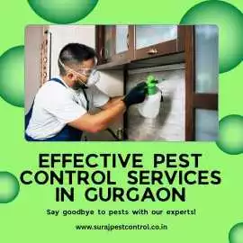 Treat with Reputed Pest Control Services in Gurgao, Gurgaon