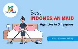 Best Indonesian Maid Agency for Household Help, Bukit Timah