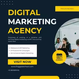 FriggasTechsol – Trusted Digital Marketing Agency , Noida