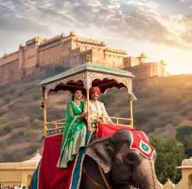 Top Reasons to Choose Elephant Ride Jaipur on Your, Jaipur