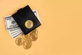 Looking to create a defi-wallet like a Phantom?, Madurai