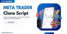 MetaTrader Clone to start Your Forex Trading App, Campbell