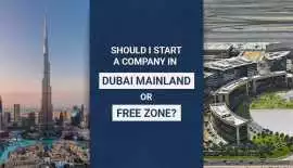 What is Difference Between Mainland and Freezone, Dubai