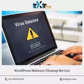 Fast & Secure WordPress Malware Cleanup Servic, Charlotte