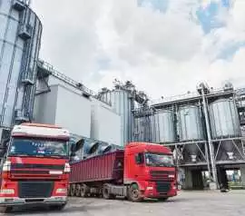 Tailgate Freight Logistics for On-Time Shipments, North York