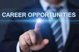 Top Career Opportunities in Accounting, Finance, a, Jaipur