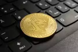Custom Blockchain Solutions for Startups, Mohali
