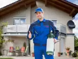 Comprehensive Pest Control Services in Canada You , Langley