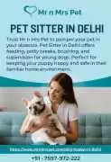 Pet Sitter in , Delhi