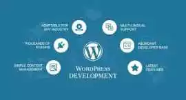 Select Best WordPress Development Company in India, Delhi