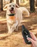 My Dog Wouldn’t Stop Barking—This Remote Changed E, $ 0