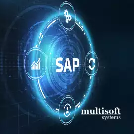 SAP Document and Reporting Compliance (DRC) Course, Noida