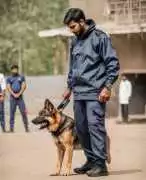 Best Dog For Security In India – Trained By K9 Sch, ₹ 0
